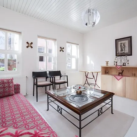 Apartment Newly-renovated 1 Istanbul