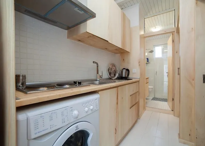 Newly-renovated 1 Apartment