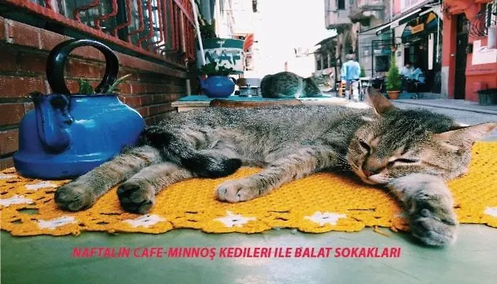 Newly-renovated 1 Appartement Istambul